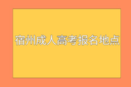 宿州成人高考報名地點