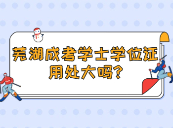 蕪湖成考學(xué)士學(xué)位證用處大嗎