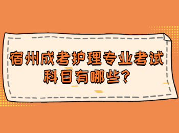 宿州成考護(hù)理專(zhuān)業(yè)考試科目有哪些