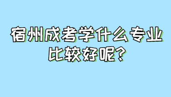 宿州成考學(xué)什么專業(yè)比較好呢
