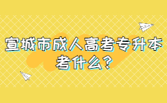宣城市成人高考專升本考什么