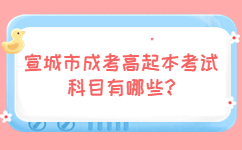 宣城市成考高起本考試科目有哪些