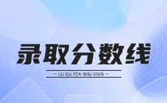 2024年合肥信息技術職業學院成人高考分數線解析